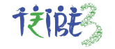 Tribe Tech